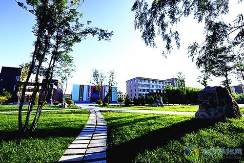 為什么高職單招文化、面試和志愿填報(bào)三個方面都很重要？